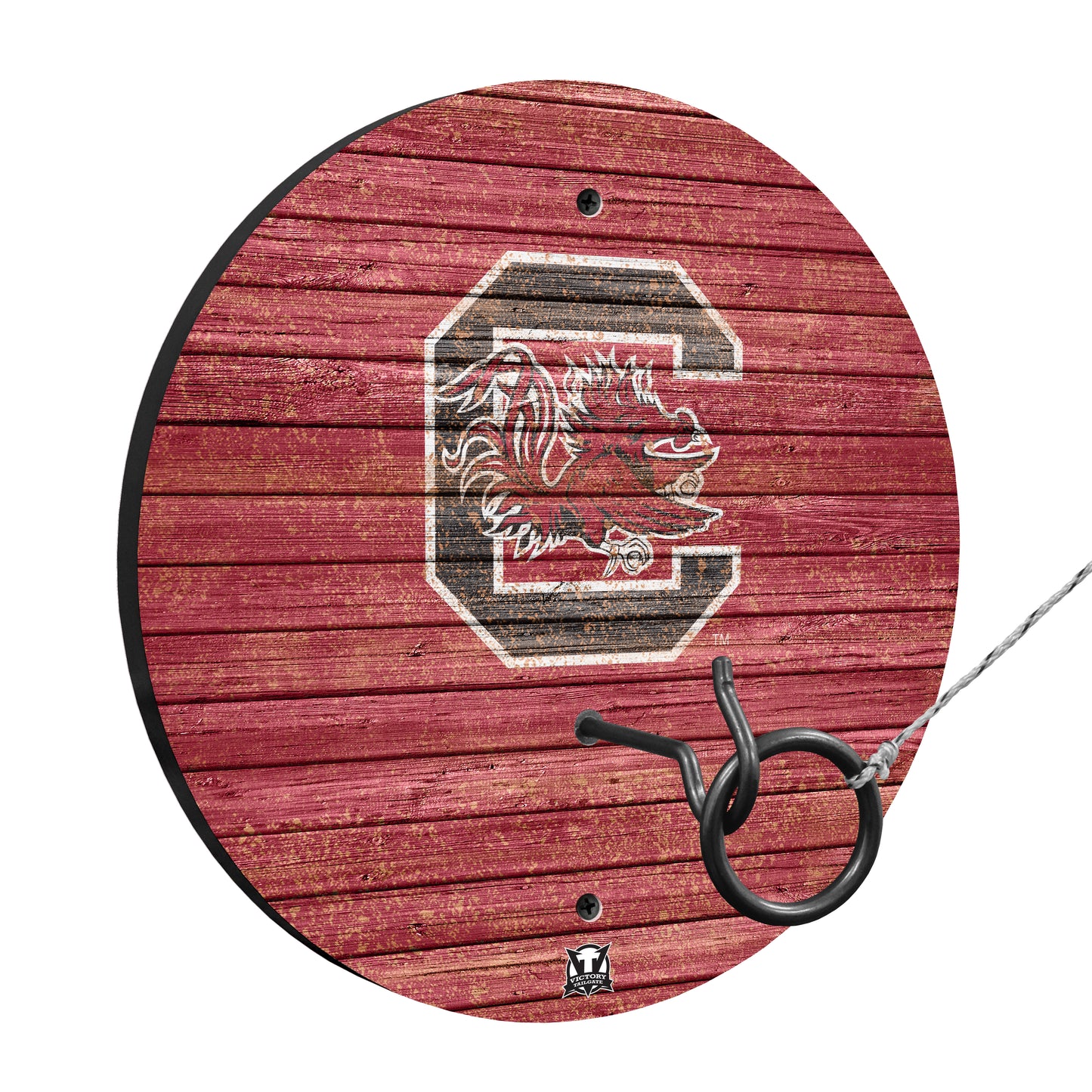 College Team Hook & Ring Wall Game